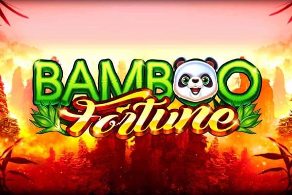 Bamboo fortune big